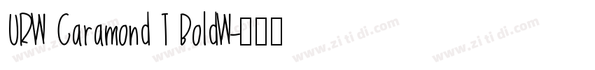 URW Garamond T BoldW字体转换